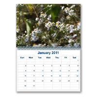 Calendars Calendars